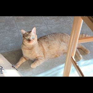 Meet your Posher, Ashleigh